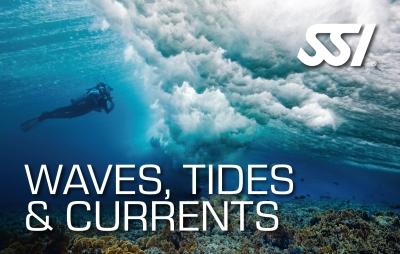 SSI Waves Tides & Currents